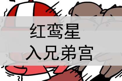 紫微斗数命盘_紫微斗数命盘解析,第14张